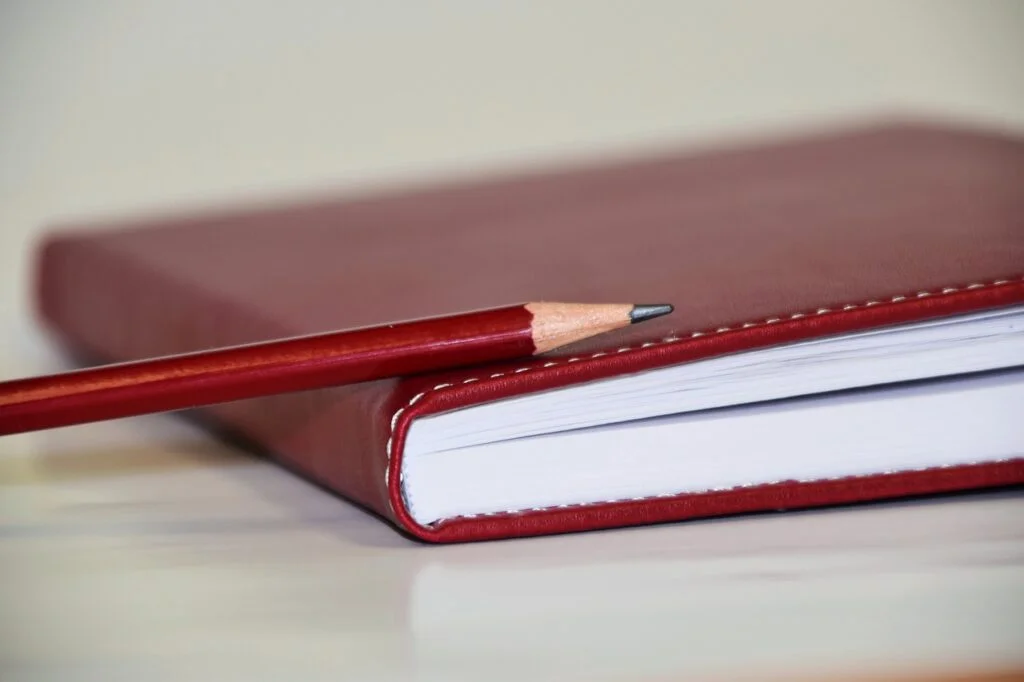 Once your thesis is ready, have someone else review it.